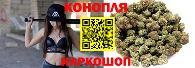сатива Коммунар