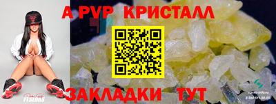 соль ск Кингисепп
