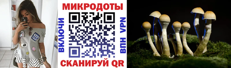 наркота  Узловая  Псилоцибиновые грибы мицелий 