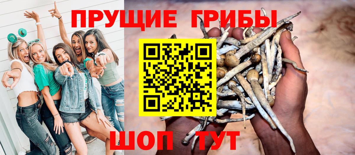 закладки  Вход с VPN  Узловая  Галлюциногенные грибы GOLDEN TEACHER 