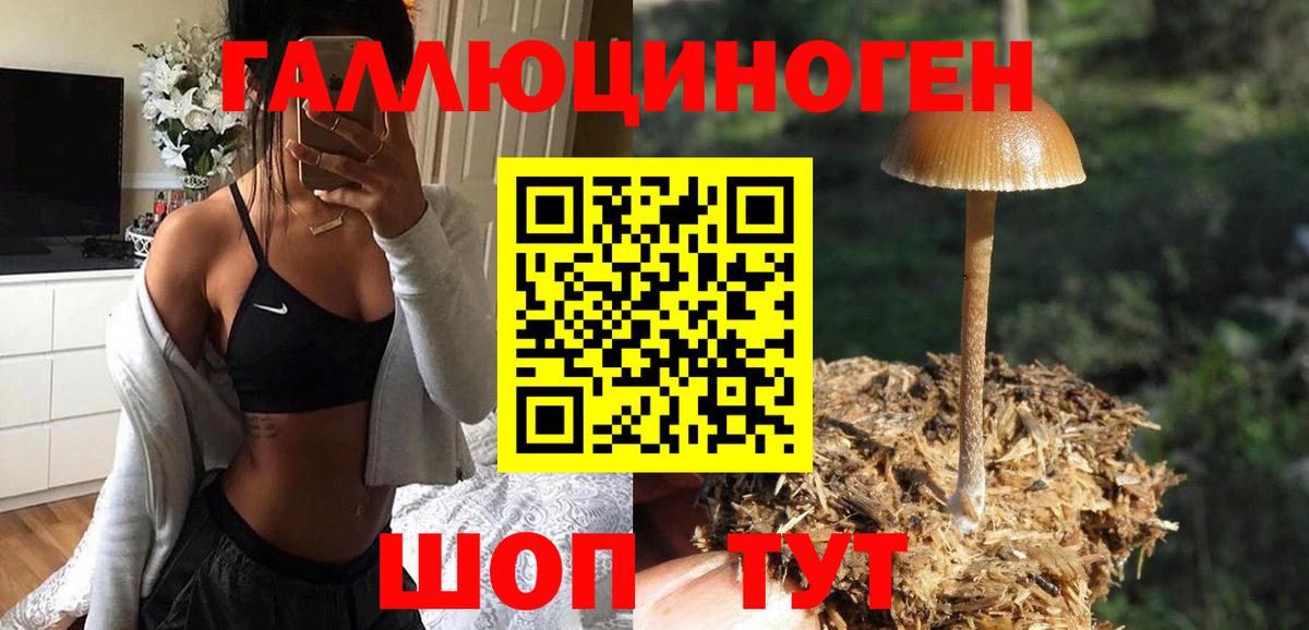 Псилоцибиновые грибы Magic Shrooms Узловая